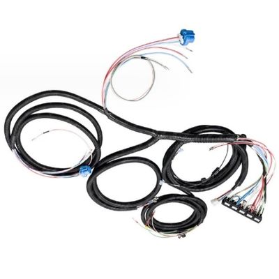 CE Electric Vehicle Wire Harness 18AWG Customize Automotive Wiring Kit